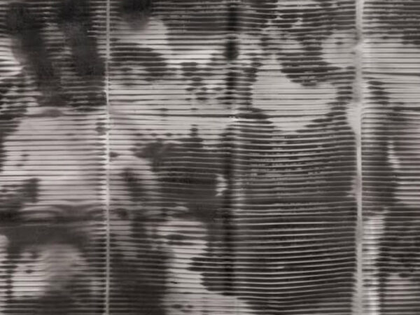 DONDE LAS SOMBRAS RECUERDAN