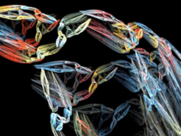 ARTWARE 9. BIENAL DE ARTE DIGITAL DE LIMA.