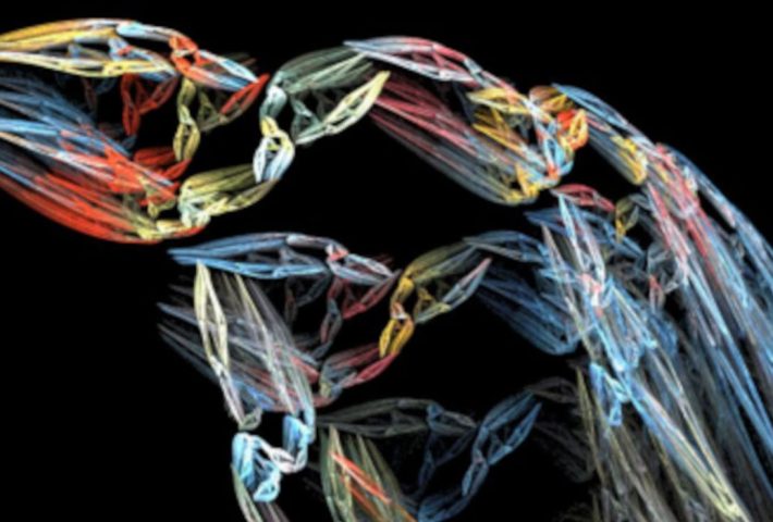 ARTWARE 9. BIENAL DE ARTE DIGITAL DE LIMA.