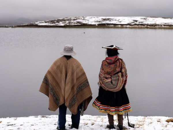 GUARDIANES DE LOS GLACIARES