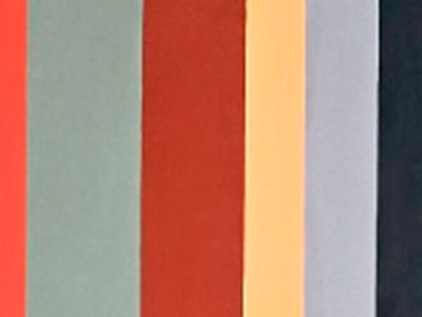 PERSPECTIVAS VISUALES