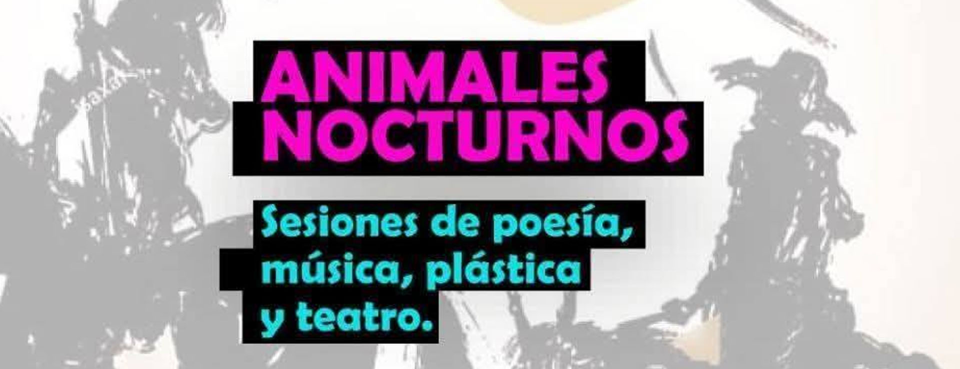 ANIMALES NOCTURNOS