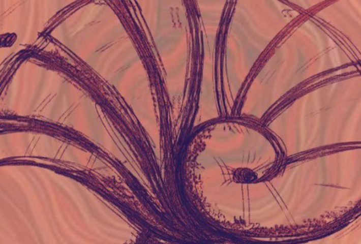 VALVA: POÉTICA DEL HUAYRURO