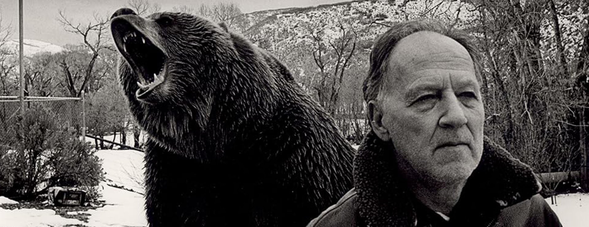 GRIZZLY MAN