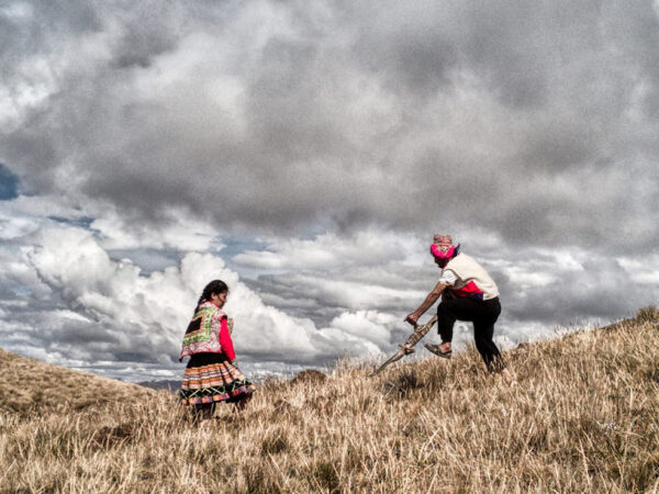 HATUN PHAQCHA, TIERRA SANA