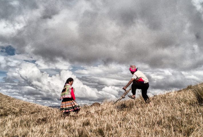 HATUN PHAQCHA, TIERRA SANA