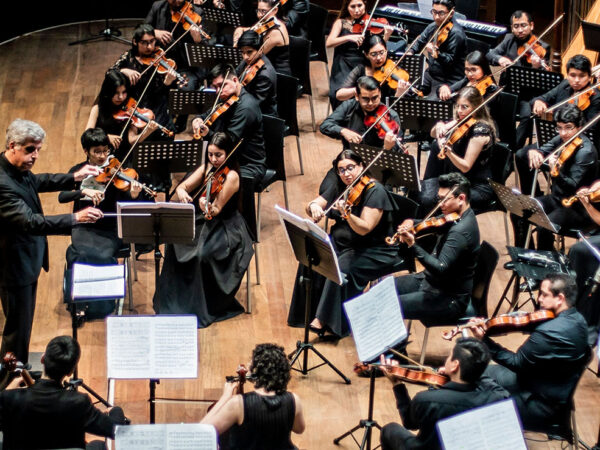 ORQUESTA SINFÓNICA EN CONCIERTO