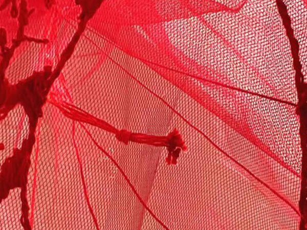 ILACIONES CORPÓREAS