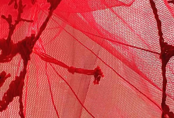 ILACIONES CORPÓREAS