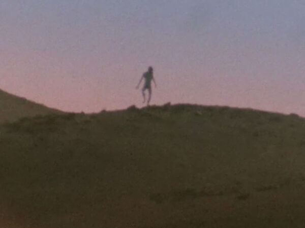 EL INCONDICIONADO DESOCULTAMIENTO