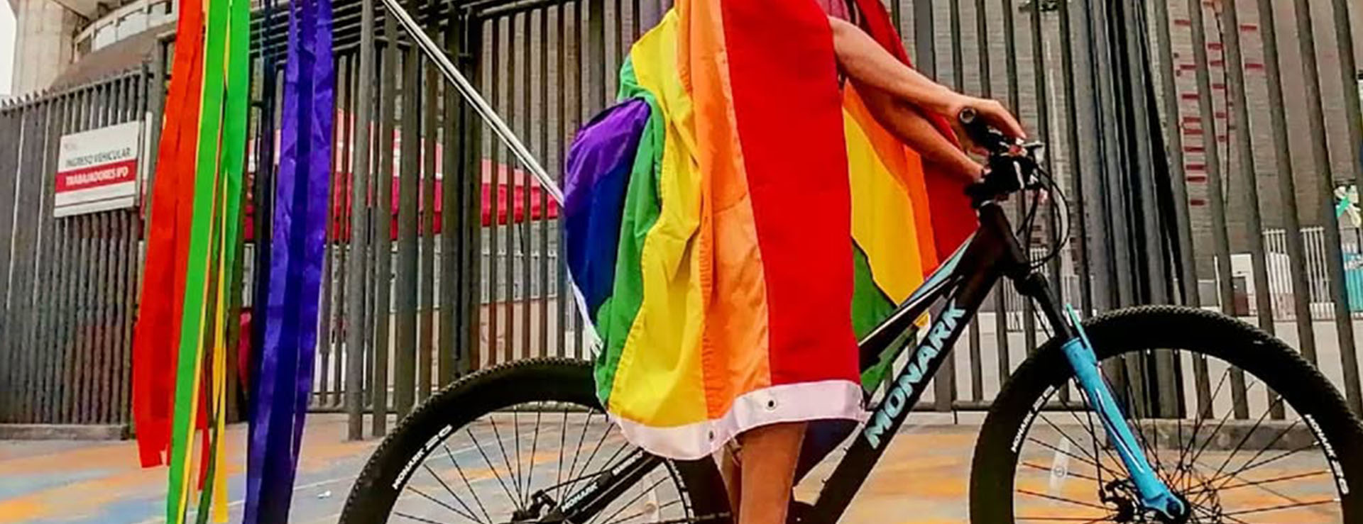 BICISALIDA #2