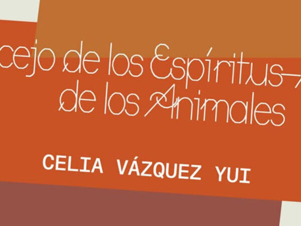 EL CONCEJO DE LAS ESPÍRITUS