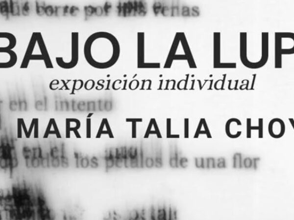 BAJO LA LUPA EXPOSICION INDIVIDUAL MARIA TALIA CHOY
