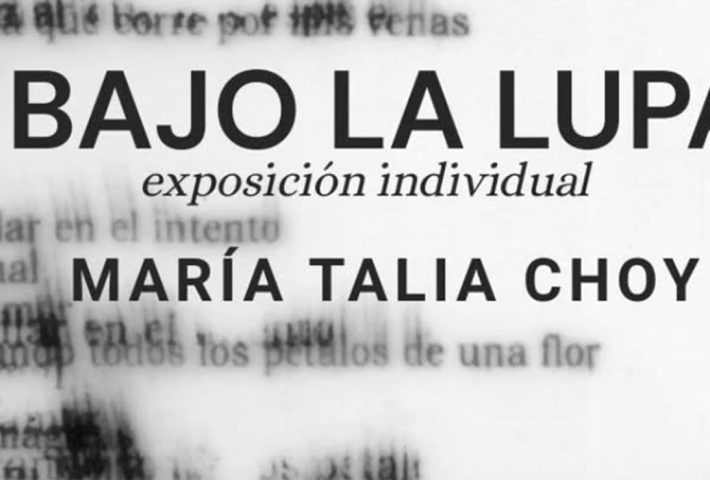 BAJO LA LUPA EXPOSICION INDIVIDUAL MARIA TALIA CHOY