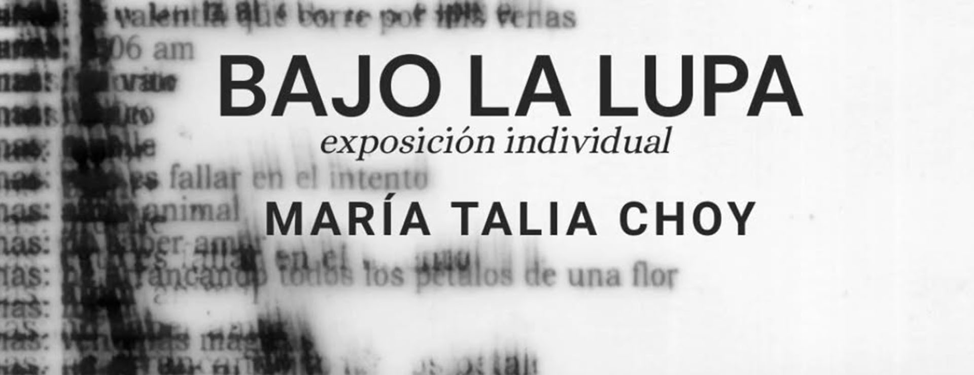 BAJO LA LUPA EXPOSICION INDIVIDUAL MARIA TALIA CHOY
