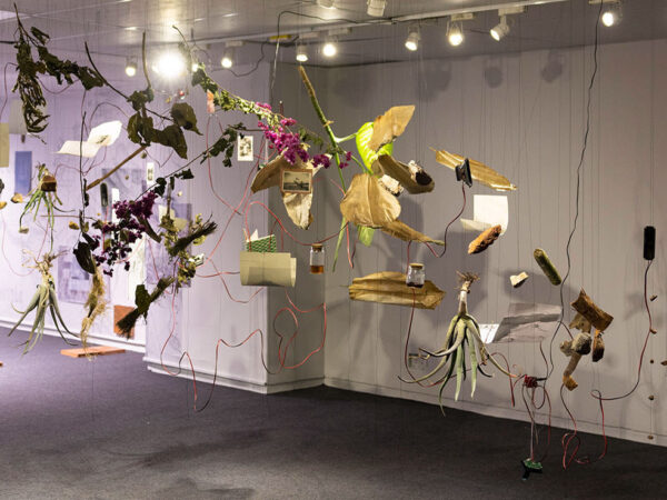 17 PREGUNTAS PARA INTERPRETAR UN TERRITORIO