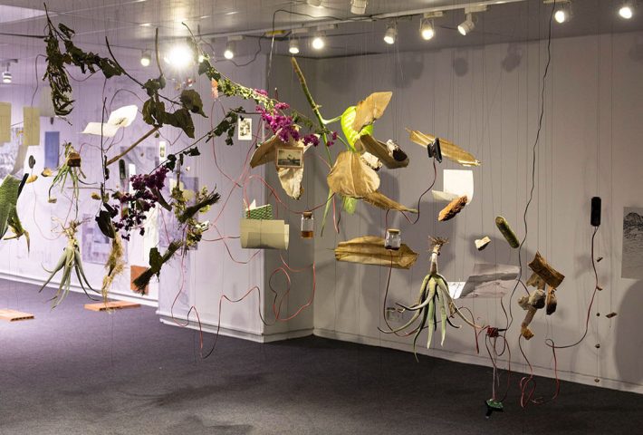 17 PREGUNTAS PARA INTERPRETAR UN TERRITORIO