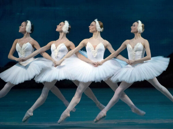 EL LAGO DE LOS CISNES