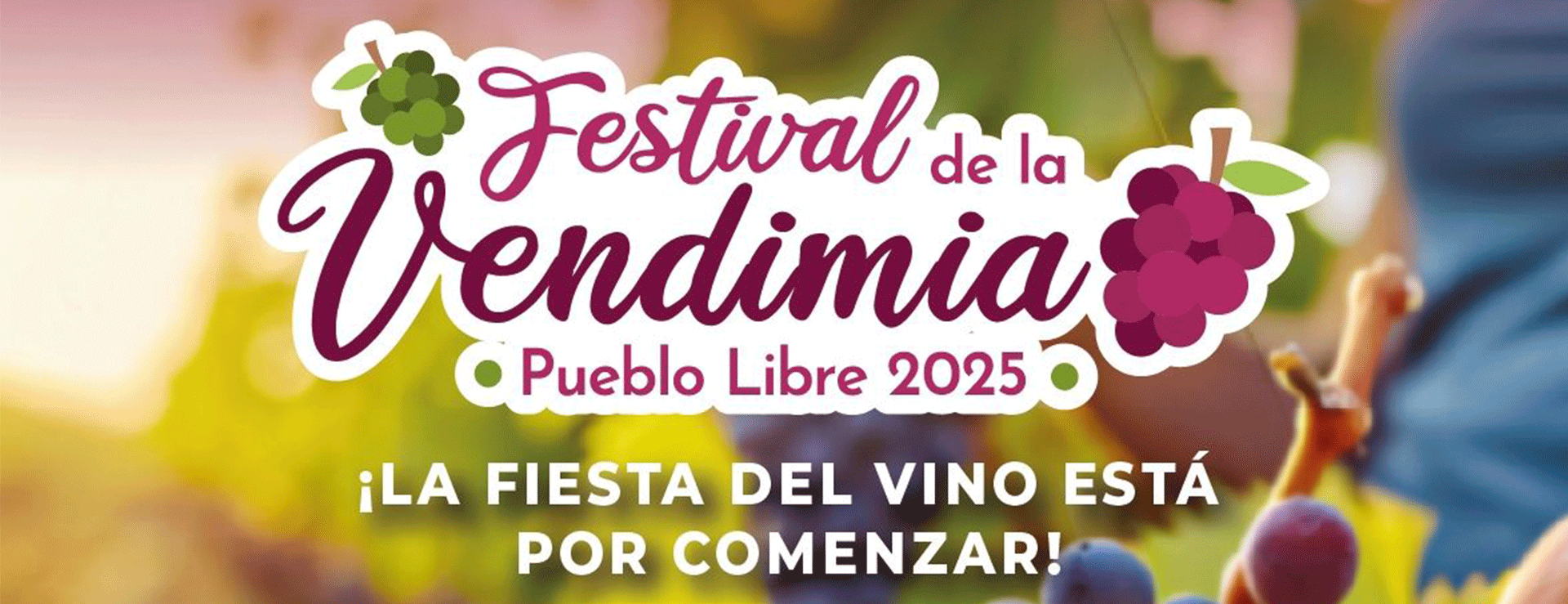 FESTIVAL DE LA VENDIMIA