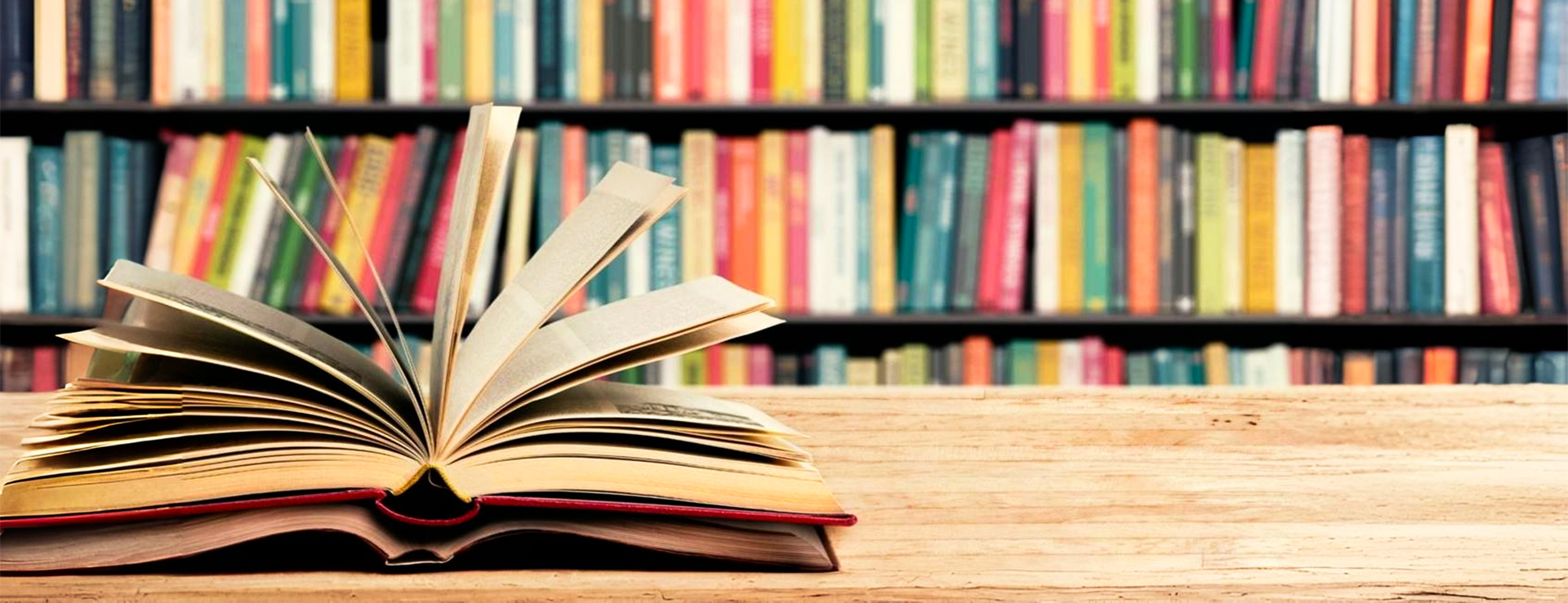 LIBREROS POR UN DIA