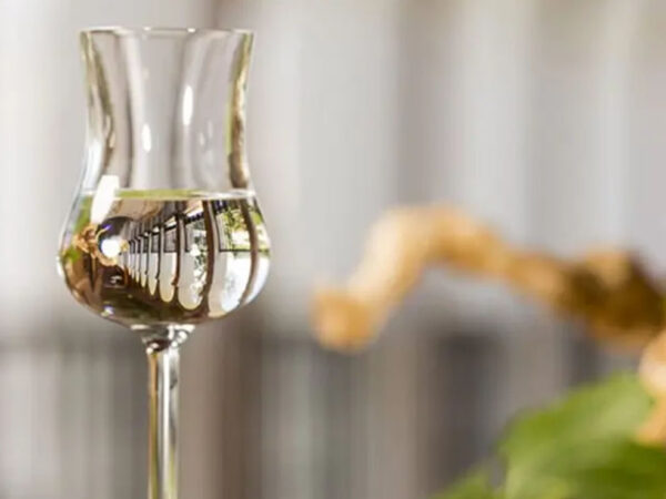 EL PISCO Y SU VIGENCIA