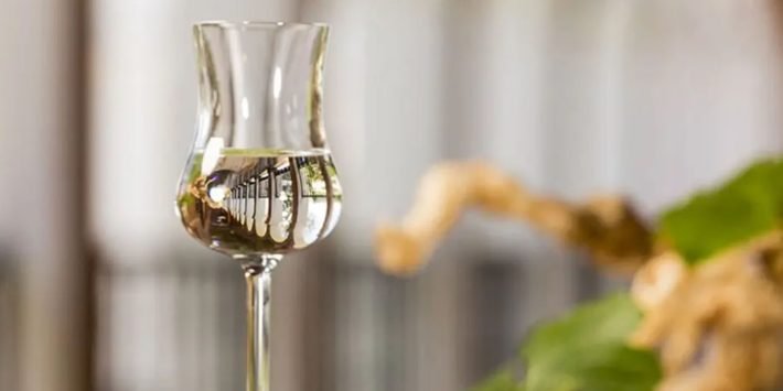 EL PISCO Y SU VIGENCIA