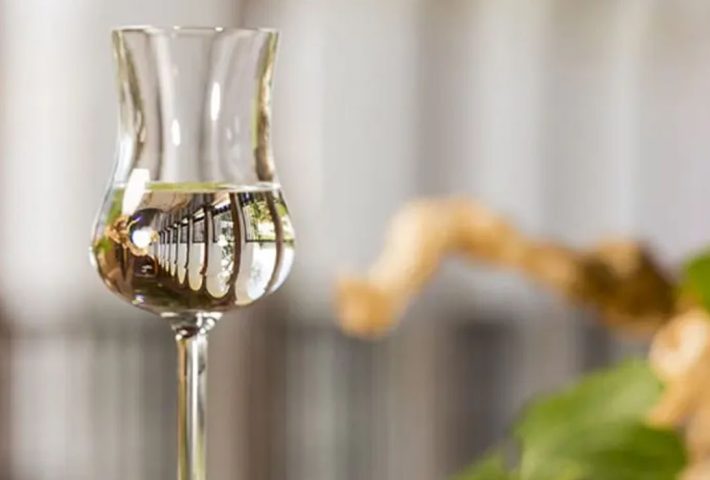 EL PISCO Y SU VIGENCIA