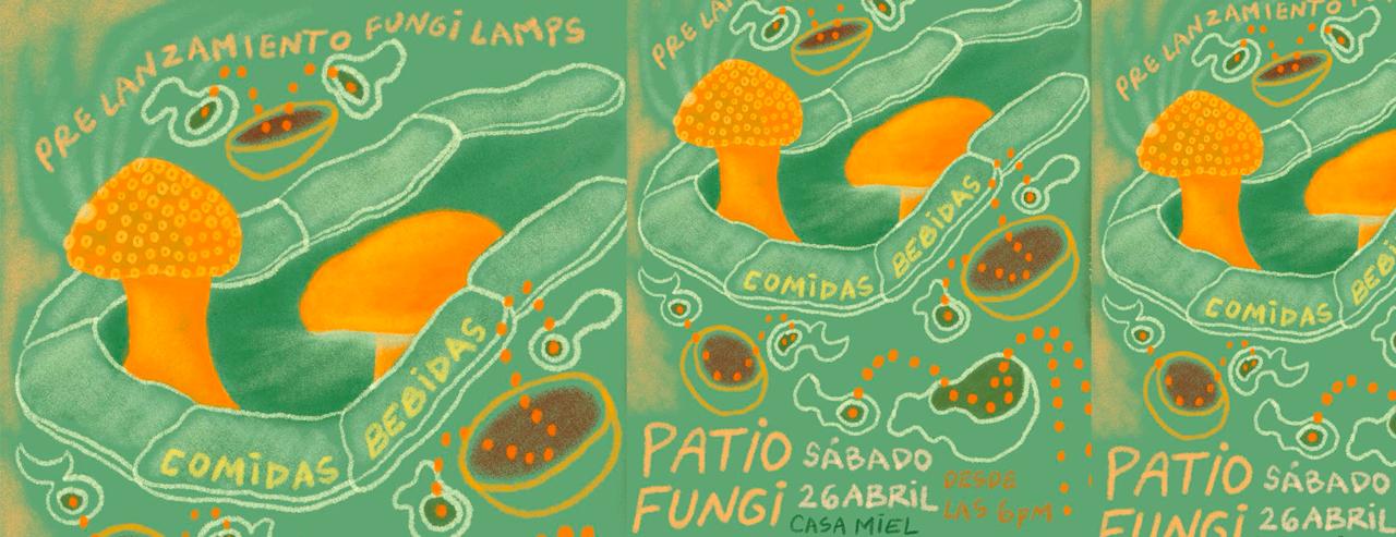 PATIO FUNGI