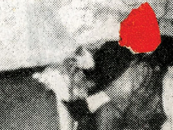 EL FUSIL ERA UNA ROSA