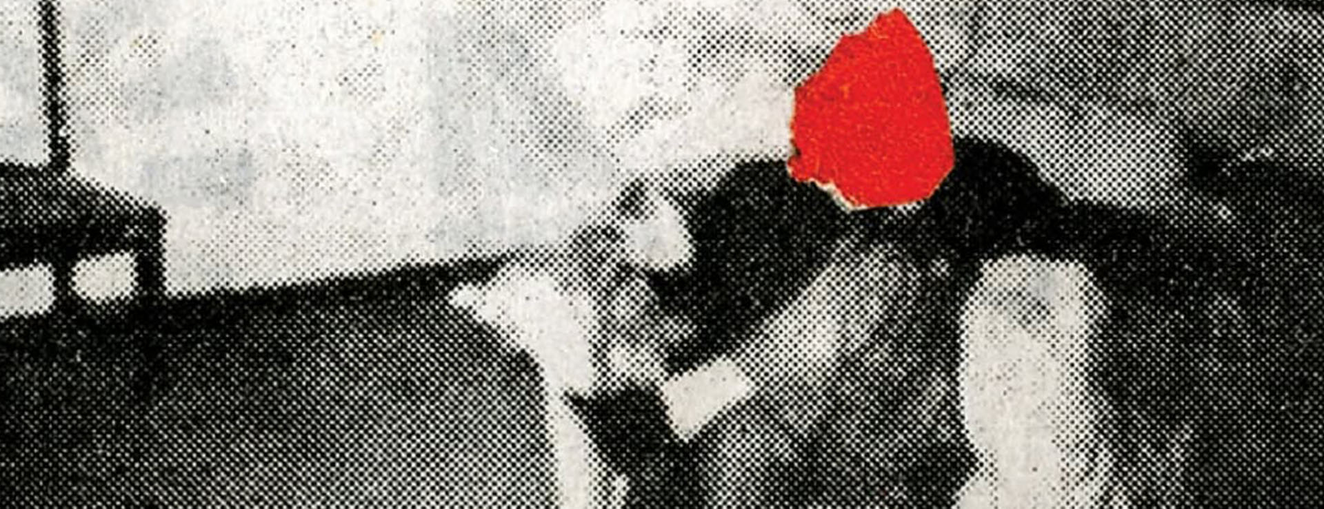EL FUSIL ERA UNA ROSA