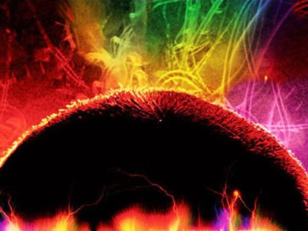 ENTER THE VOID