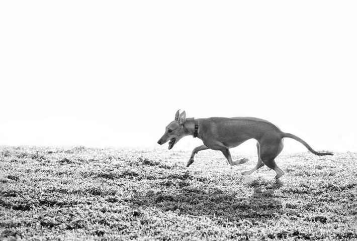 PROYECCIONES N! ESPACIO