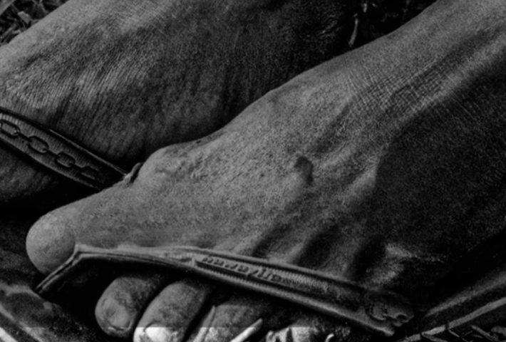 LUZ Y SOMBRA, PERÚ, TIERRA INMORTAL