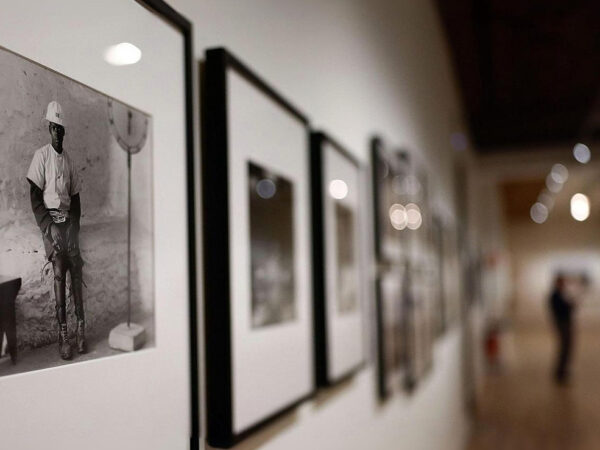 LA COSECHA EN PLENILUNIO