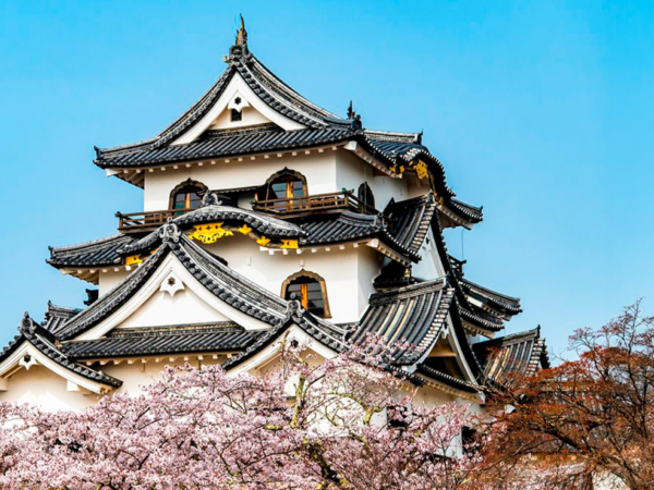 CASTILLOS DEL JAPÓN