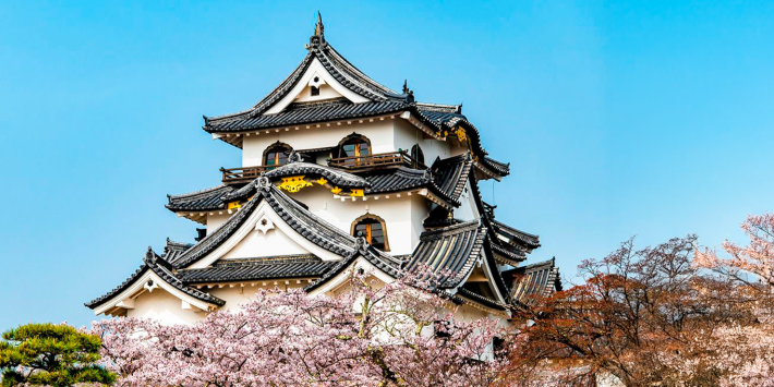 CASTILLOS DEL JAPÓN