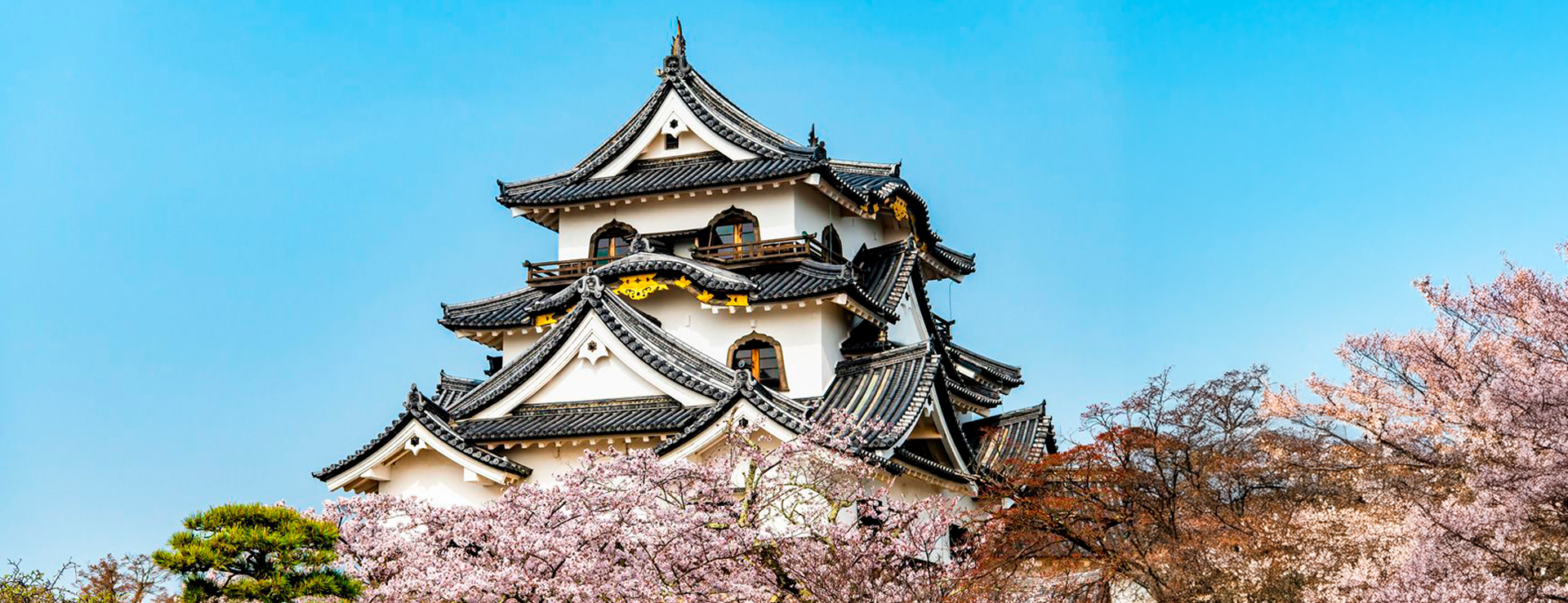 CASTILLOS DEL JAPÓN