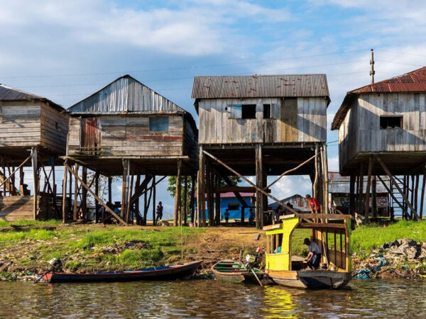 BARRIOS ANFIBIOS AMAZONICOS