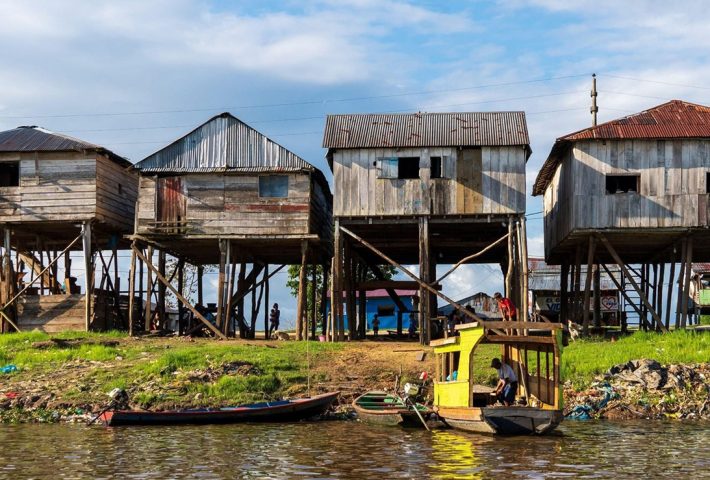 BARRIOS ANFIBIOS AMAZONICOS