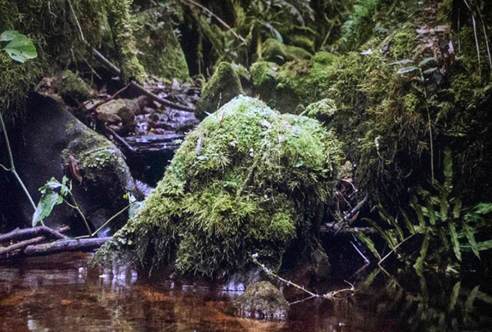 OTRAS PARTITURAS DEL AGUA