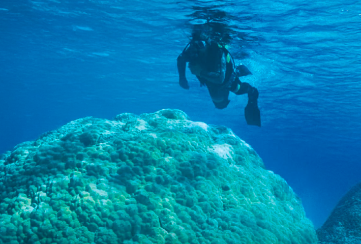OCÉANO Y CLIMA, INTERCAMBIOS PARA LA VIDA
