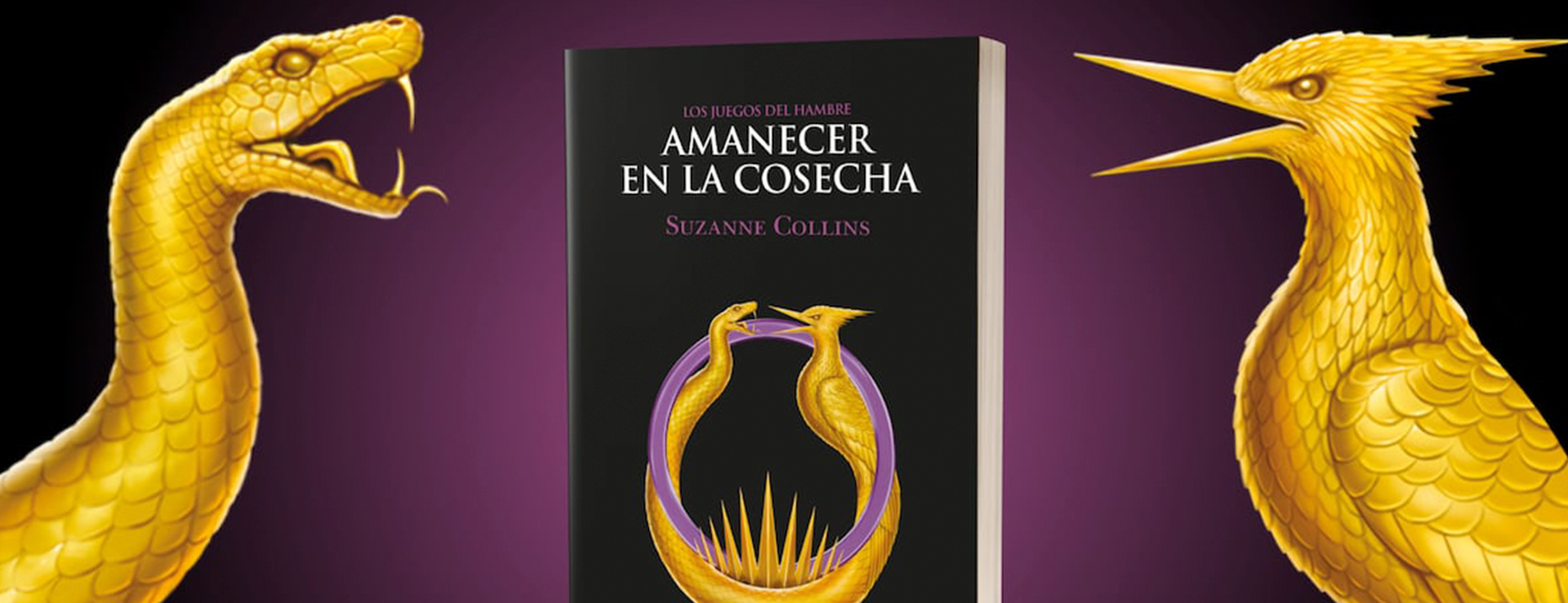 AMANECER EN LA COSECHA