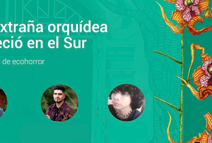 LA EXTRAÑA ORQUÍDEA FLORECIÓ EN EL SUR