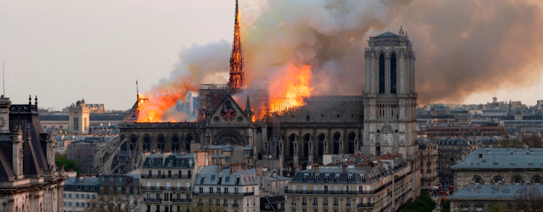 ARDE NOTRE DAME
