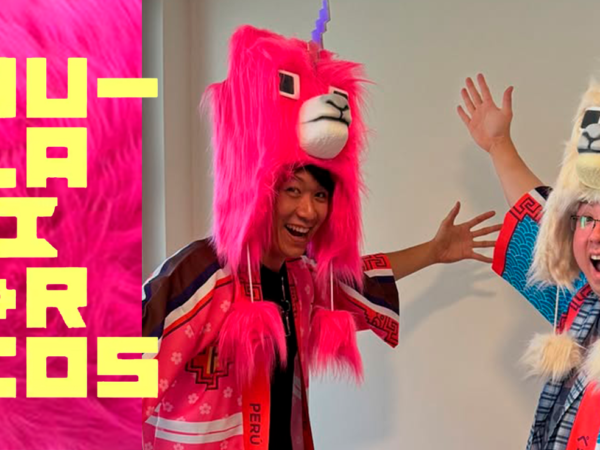 CHULLAMICORNIOS