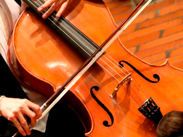 VIOLONCHELOS
