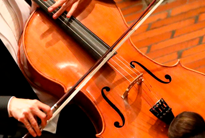 VIOLONCHELOS