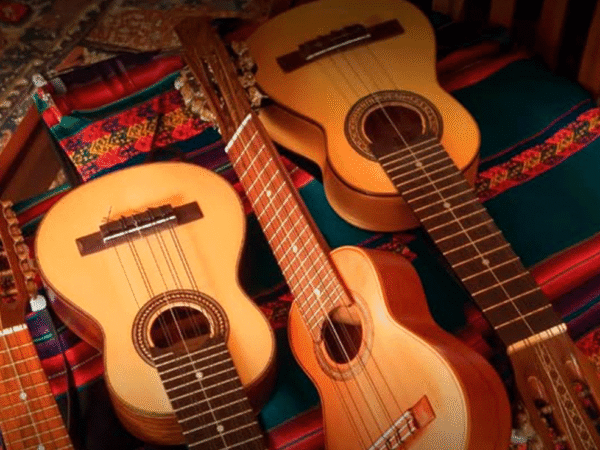 DÍA DE LA MÚSICA ANDINA