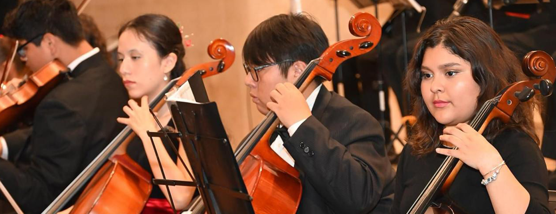 FIESTA DE LA MÚSICA