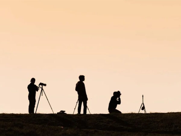 MUESTRA DE CORTOMETRAJES
